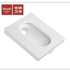 DB3002-1蹲便器
