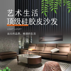 SKS 新款现代简约 生态硅胶皮沙发  SKS  S-252