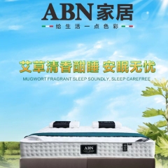 驰度-ABN2380艾草养生床垫 1.8*2.0 图片色