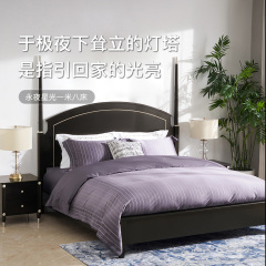 永夜星光Z28BD01床