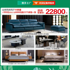 （超值套餐）现代真皮极简11件套两房两厅22800元