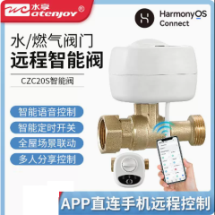 水享智能阀CZC20S wifi鸿蒙智能电磁阀联动水浸卫士燃气报警器漏水漏气保护神器 DN15 4分（内丝、外丝活接）