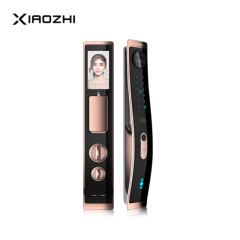 xiaozhi小智智能门锁V8 指纹密码锁防盗门3D人脸识别刷脸秒开密码门锁V8 (3D人脸识别) 红古铜